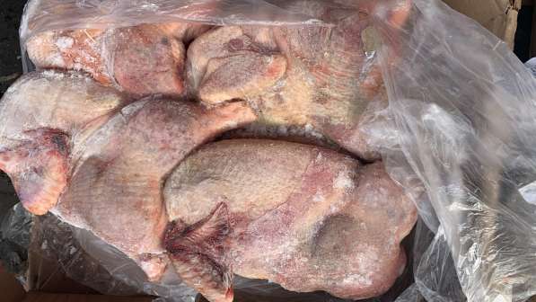 Мясо для животных в Томилино фото 16