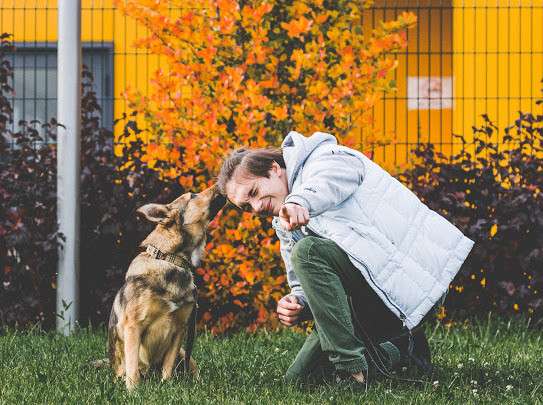 Нита веселая собачка ищет дом в Москве фото 3