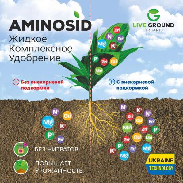 Live ground organic савдо белгисидан Aminosid ўғити