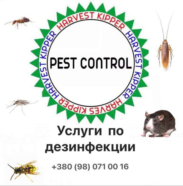 Уничтожение всех видов насекомых и грызунов в фото 4