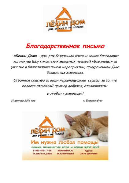 Шоу гигантские пузыри в Екатеринбурге фото 3