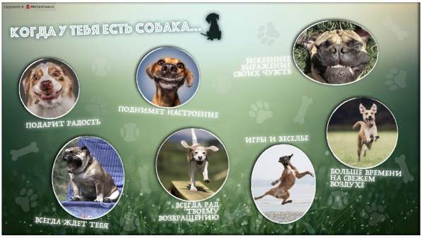 Презентация / Инфографика / Визитка / Логотип в Москве фото 49