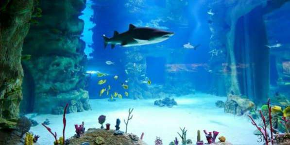 Поездки в самый крупный океанариум в Тамбове