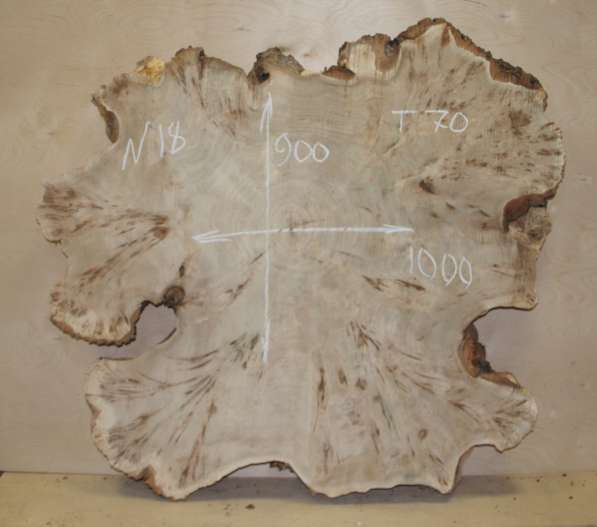 Продам слэбы поперечного капового тополя, Вл 8-10% в Москве