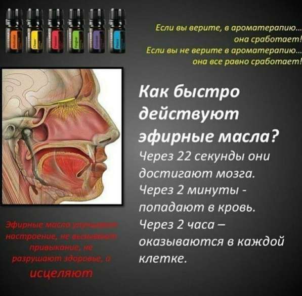 Аромабизнес в Симферополе фото 5