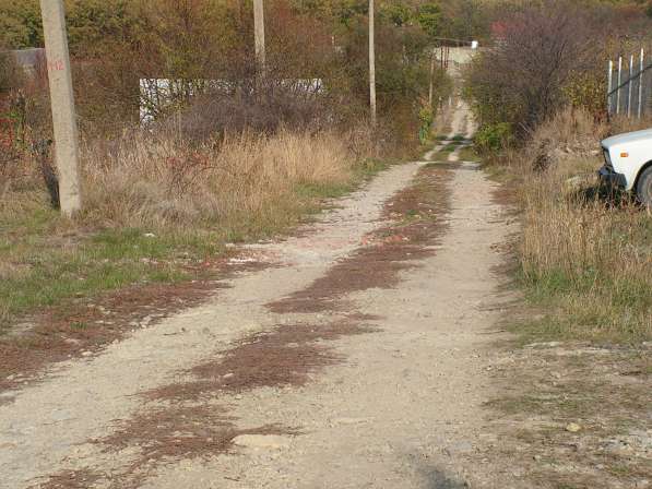 Продажа земельного участка в Ростове-на-Дону фото 16