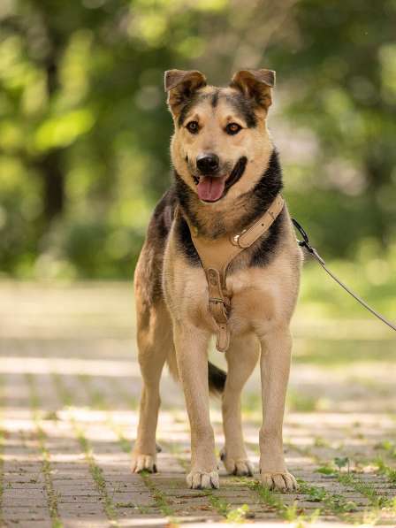 Барри ищет своего человека! в Москве фото 4