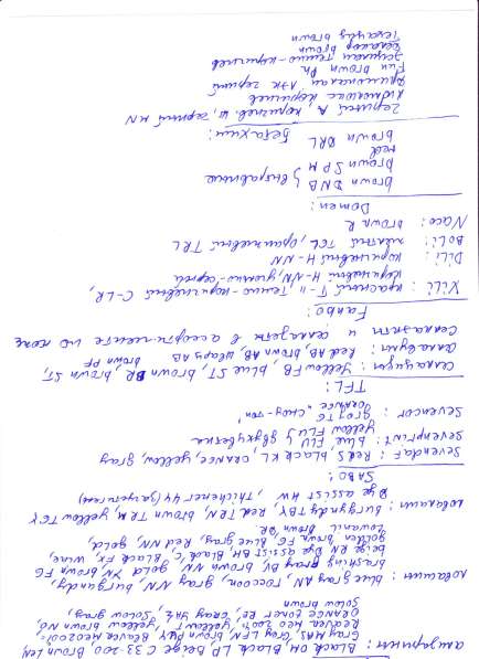 Неликвиды красителей для меха и кожи