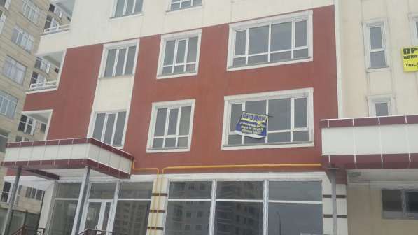 Элитная кв ПСО 2 ком кухня в фото 3