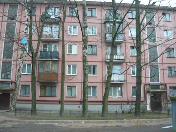 Сдается двухкомнатная квартира Новочеркасский проспект 62