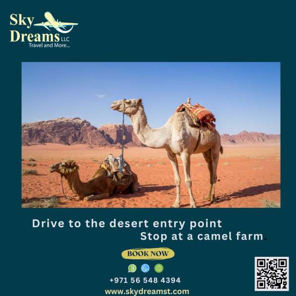 Дубай Сафари каждый день