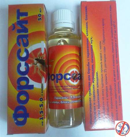 Клопы и тараканы - мы их уничтожим!!! в Ростове-на-Дону фото 4