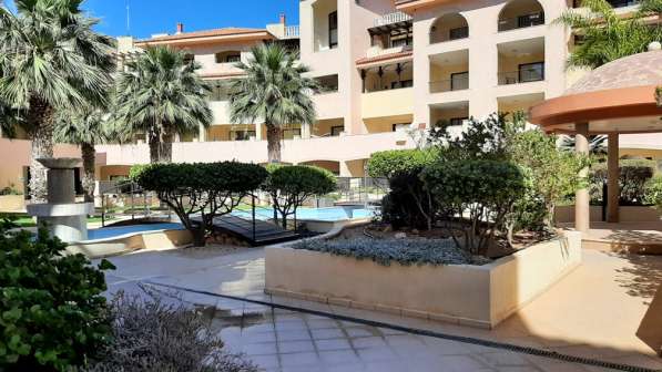 Апартамент в районе Пафоса-Кипр в Москве фото 40