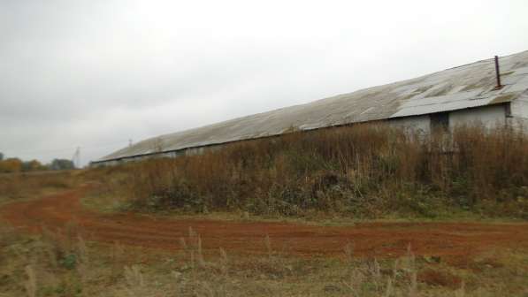 Ферма/ранчо 1600кв. м. на 200голов КРС + 55 соток земли в Уфе фото 10