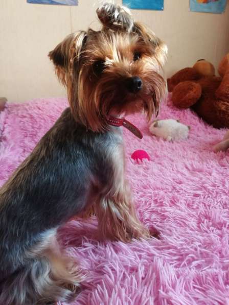 Мила потерялась в Москве