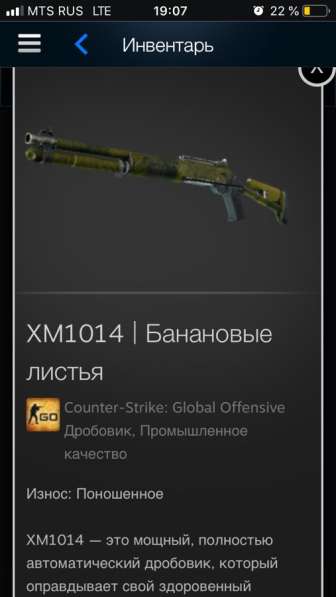 Скины в Ростове-на-Дону фото 7