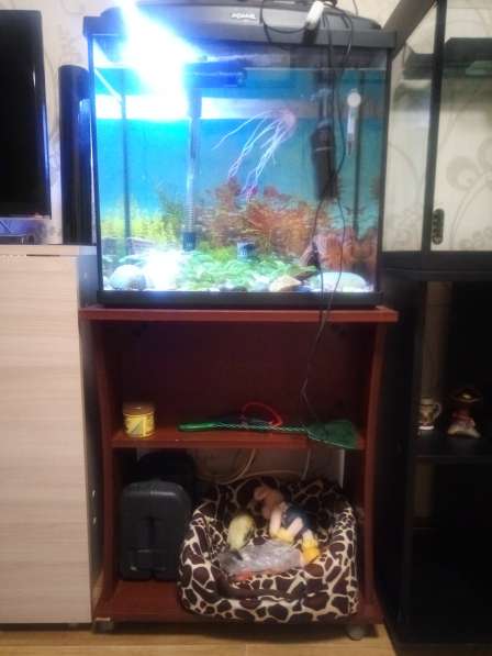Аквариум 60 литров с тумбой в Новодвинске