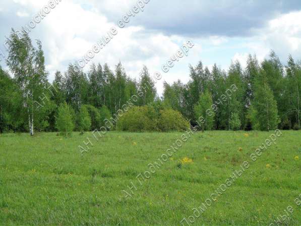 realty_mapper3.plot_in_locationПлощадь 253.00 сот.Есть Электричество, Газ. в Москве фото 33