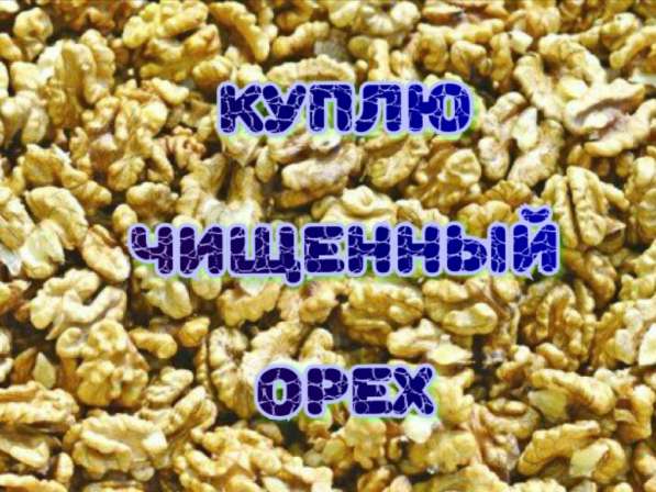 КУПЛЮ Грецкий орех чищенный в Шахтах фото 3