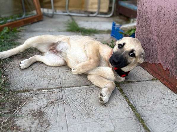 Две девчушки-красотушки и храбрый братик в Москве