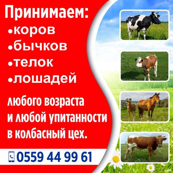 Колбасный цех! Принимаем :