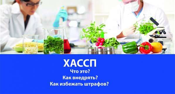 Внедрение сертификата ХАССП. Избежание от штрафов