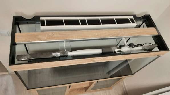 Аквариум в Санкт-Петербурге