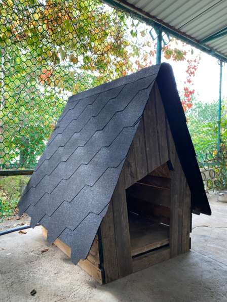 Будки для собак в Москве фото 3