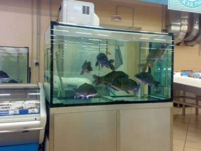 Изготовление аквариумов в Пензе фото 4