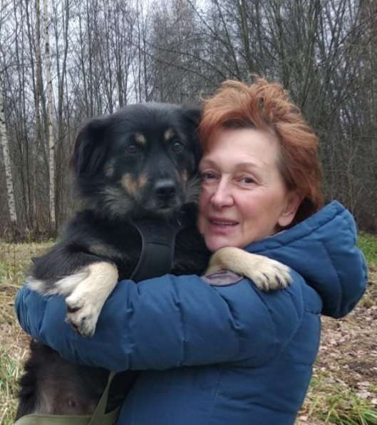 Пушистая диванная собачка
