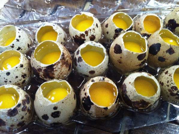 Домашние перепелиные яйца в Ханты-Мансийске фото 3