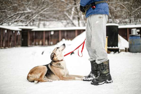 Молодой энергичный Майор ищет семью в Москве фото 22
