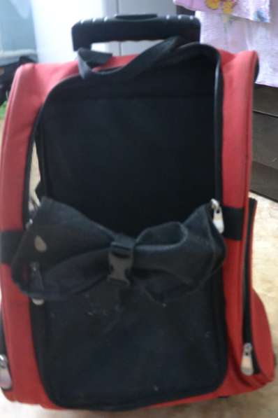 Сумка рюкзак на колесиках для маленьких средних собак складн в Раменское фото 3