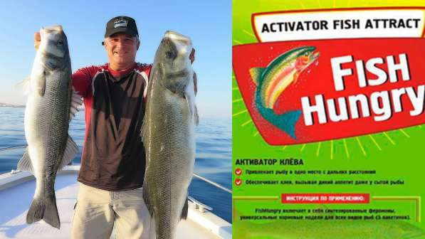 Активатор усилитель клёва Fishhungry приманка Голодная Рыба в Москве