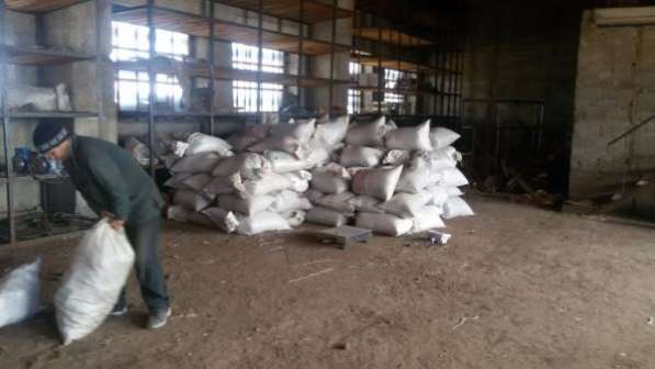 кедровый орех оптом в Москве