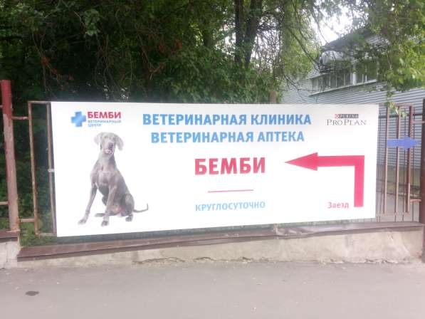 Ветеринарная клиника Бемби Новые Черемушки в Москве фото 4