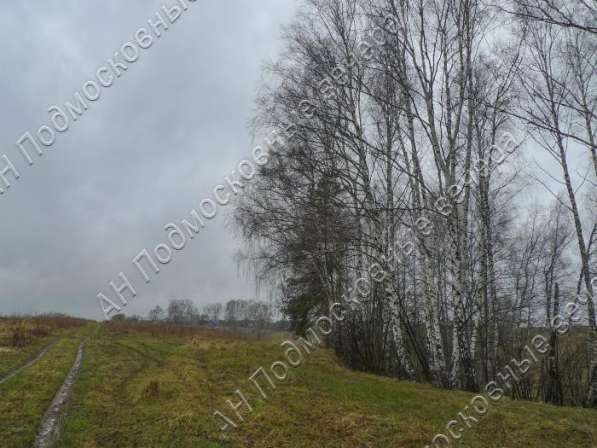 realty_mapper3.plot_in_locationПлощадь 31.00 сот.Есть Электричество, Газ. в Москве фото 10