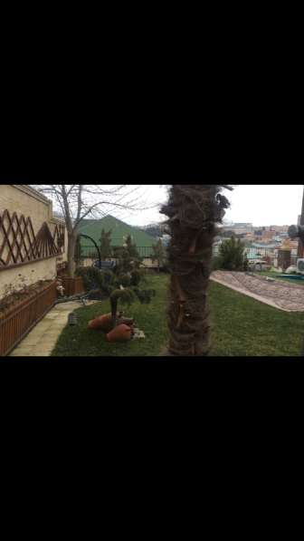 Дом продаю дом Батандарт 2 массив в фото 30