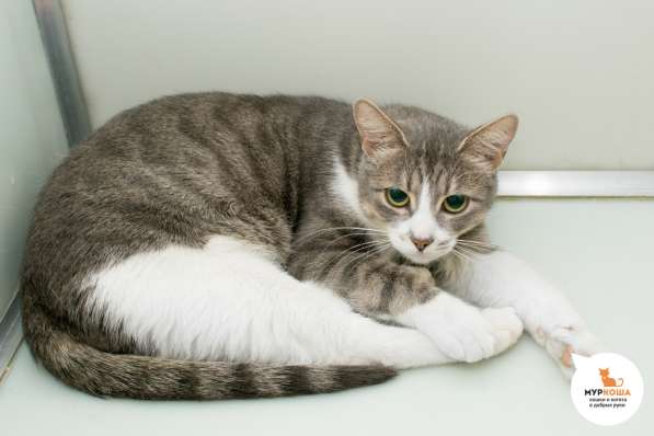 Вы запомните встречу с Алезией в Москве фото 4