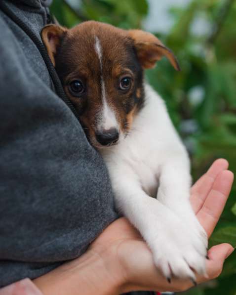 Саломея в Москве фото 6