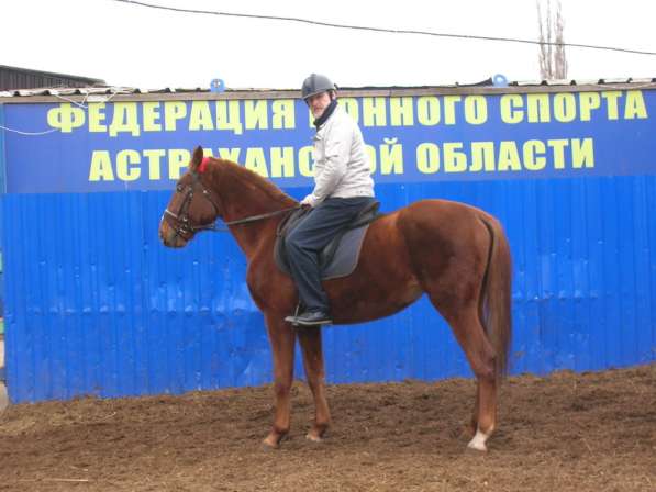 Николай, 51 год, хочет познакомиться в Краснодаре