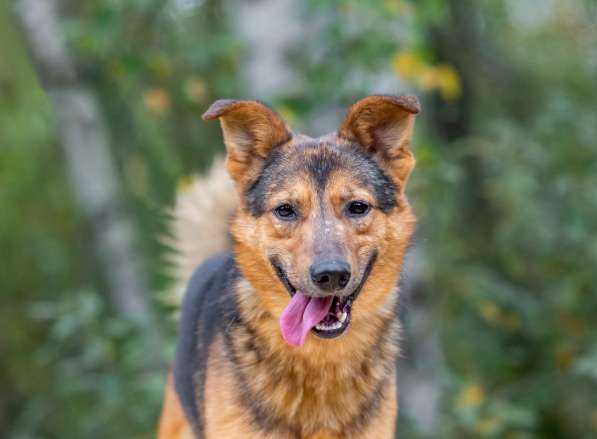 Алекс, молодой, некрупный парень-стесняшка ищет дом в Москве фото 3