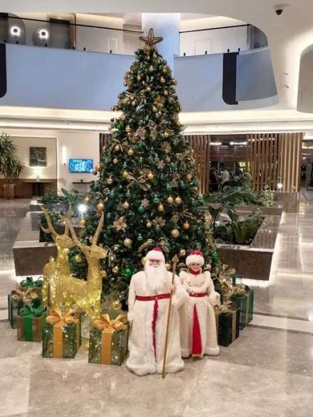 Новогодние ёлки композиции и оформления Установка в фото 5