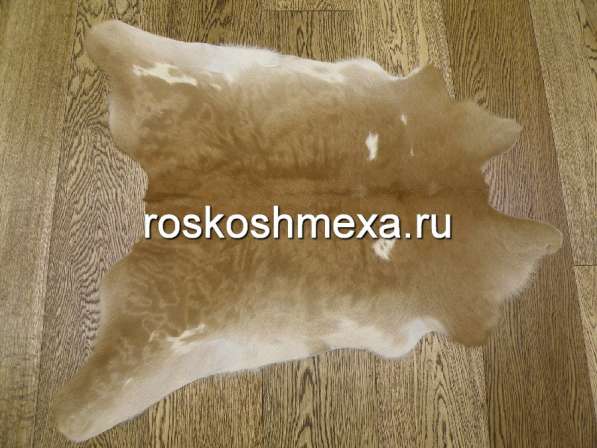 Шкуры телят — практично и недорого в Москве фото 4