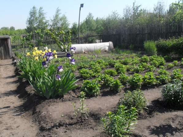 Продаю отличный садовый участок. 5 сот. 10 км. от Челябинска в Челябинске фото 13