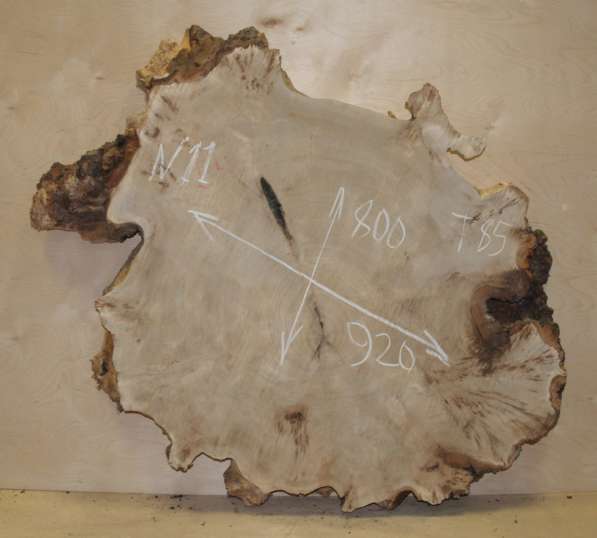 Продам слэбы поперечного капового тополя, Вл 8-10% в Москве фото 6