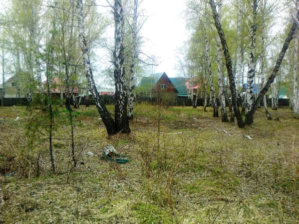 Продается участок 15 соток в поселке Молодежный в Иркутске фото 6