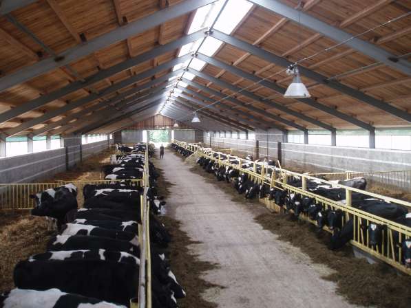 Организация изготовит фермы крс, птицы, овец в Пензе фото 4