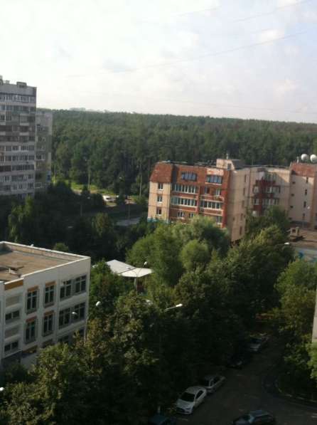 Сдается отличная квартира на улице Грина в Москве фото 6