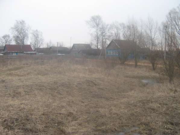 Продаю земельные участки сельхозназначения в Старой Руссе фото 9